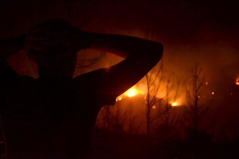 Aydın’daki orman yangını kontrol altına alındı