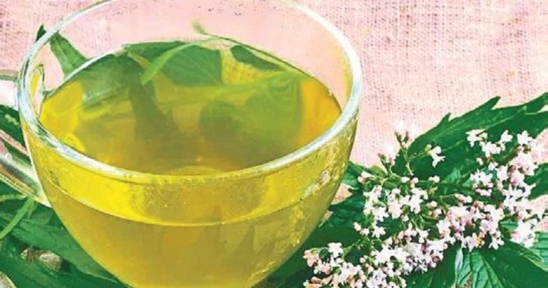 Kas ağrılarının ilacı Kediotu ve Biberiye