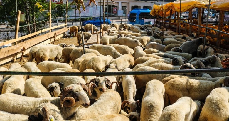 Kurban Bayramı ne zaman? Kurban Bayramı kaç gün? Kurban Bayramı’nda sokağa çıkma yasağı olur mu?