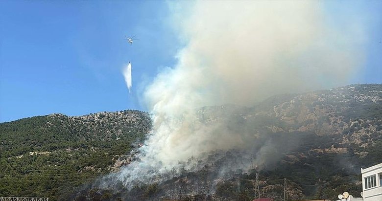 Bodrum’da orman yangını! AVM tahliye edildi