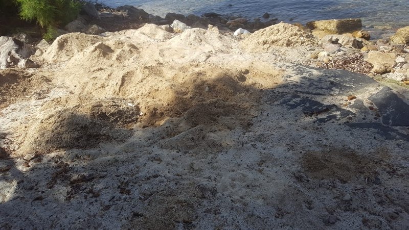 Bodrum’da beyaz kum tartışması! ’Deniz çayırlarını yok ediyor’
