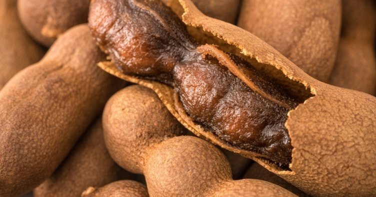 Demirhindi ne işe yarar? Demirhindi hangi hastalığa iyi gelir?