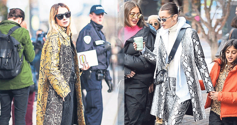 Yılan deseni her yerde