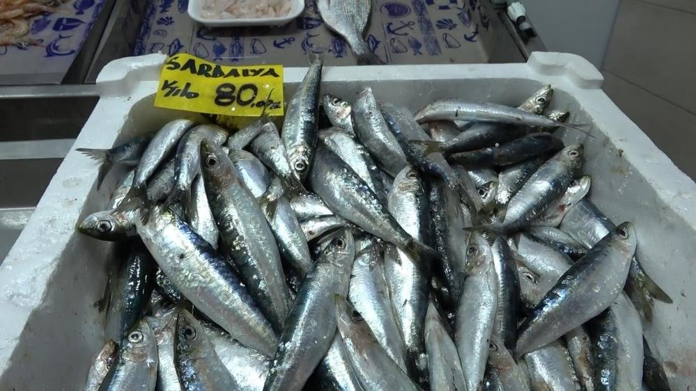 Çanakkale’de sardalyanın tanesi 3 liradan satılıyor