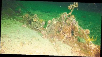 Hayalet ağların yüzde 75’ini Balıkesir Büyükşehir temizledi