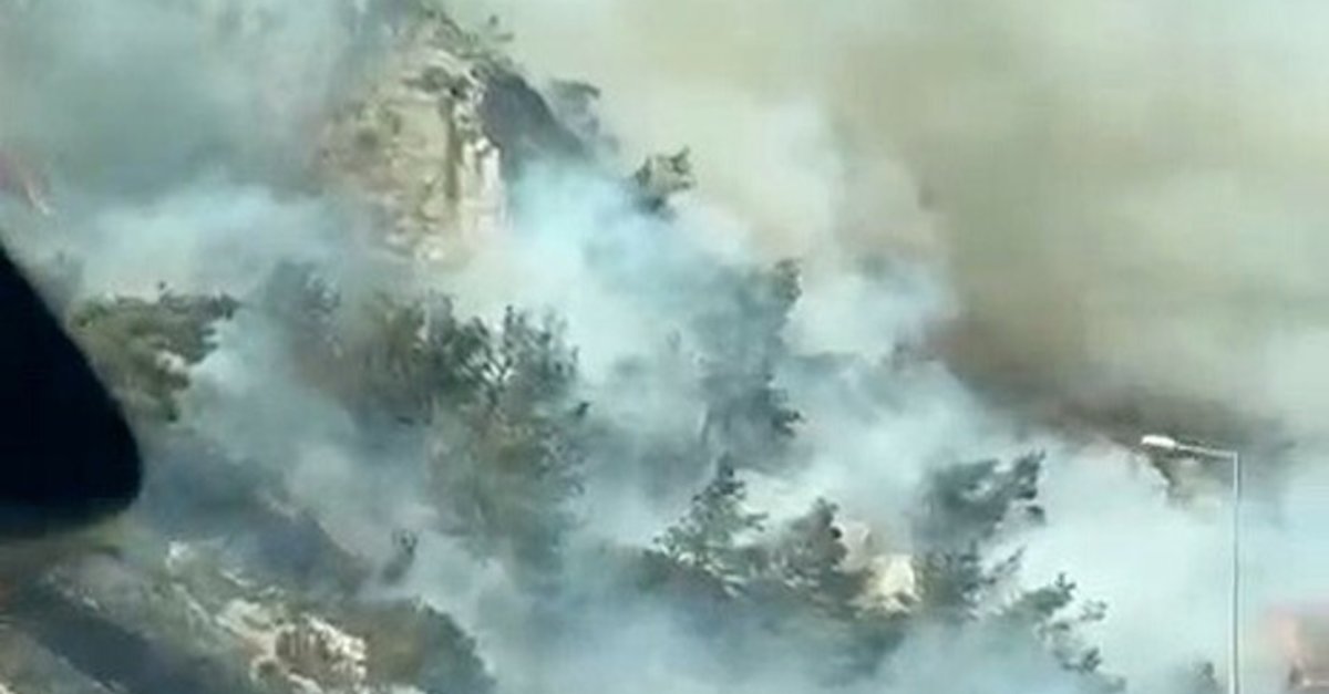 Aydın'da maki yangını