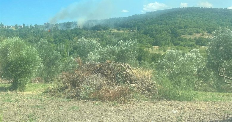 Tarım arazisinden başladı ormana kadar yayıldı! Yangının çıkış nedeni yine sigara izmariti çıktı