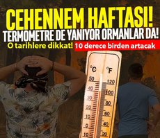Termometre de yanıyor ormanlar da!
