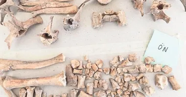 Yassıtepe’den tarih fışkırıyor