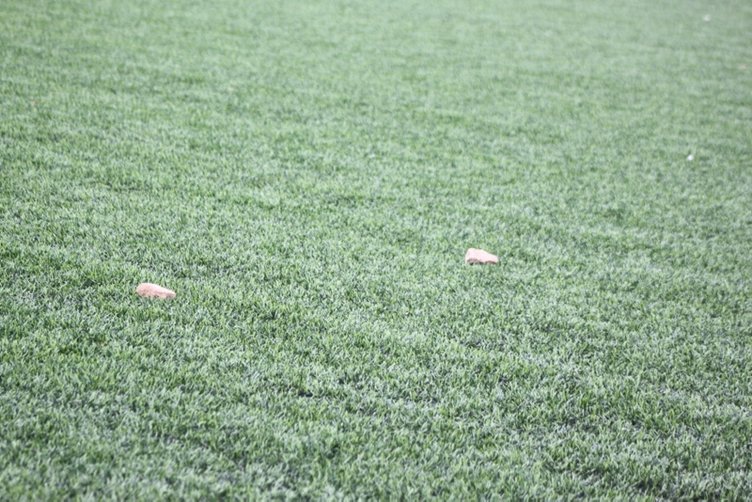 Böyle taraftar olmaz olsun! Taşlı saldırılarla sahada terör estirdiler!