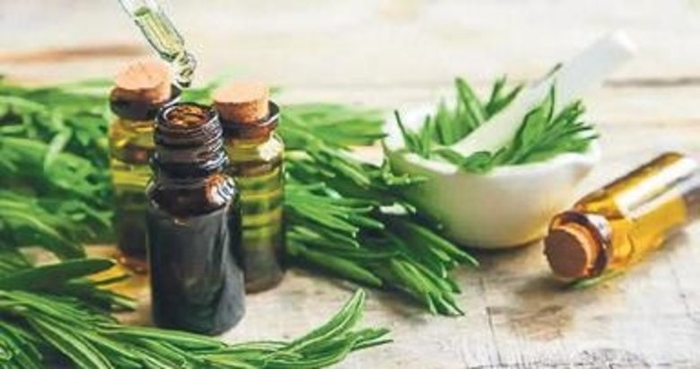 Doğal ağrı kesici: Biberiye yağı