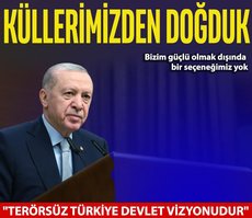 Başkan Erdoğan: Küllerimizden doğduk