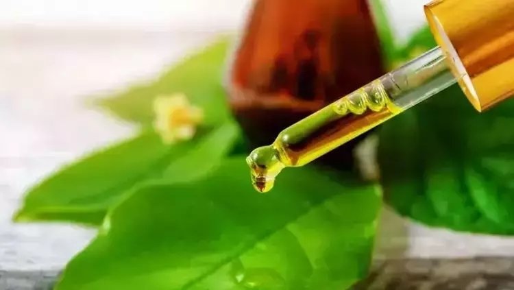 Doğal tırnak bakımıyla güçlü tırnaklara kavuşun: Tırnakları en iyi ne besler?