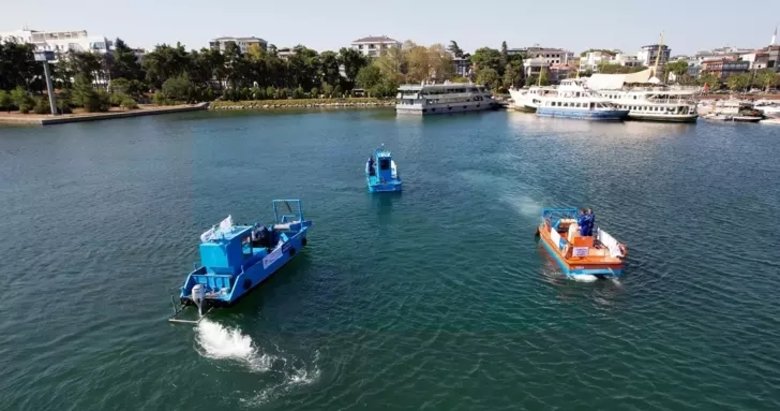 İzmir Körfezi’nde kirlilik sorununa deniz süpürgesi çözümü! Türkiye Çevre Ajansı’ndan temizlik seferberliği