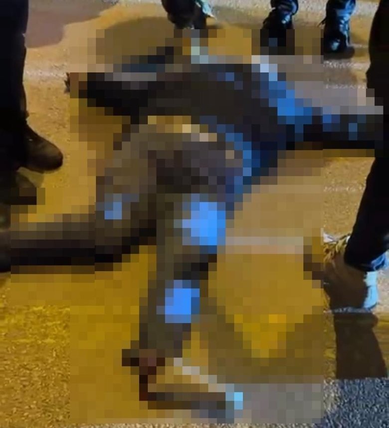 Didim’e ev almaya gelen kadın kazada can verdi