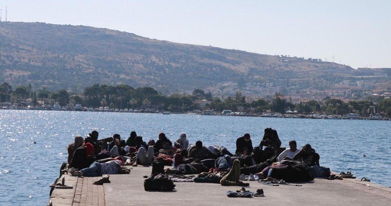 İzmir Foça’da 84 kaçak göçmen yakalandı