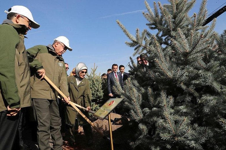 Türkiye’nin en çevreci hükümeti! 16 yılda 4,6 milyar fidan dikti