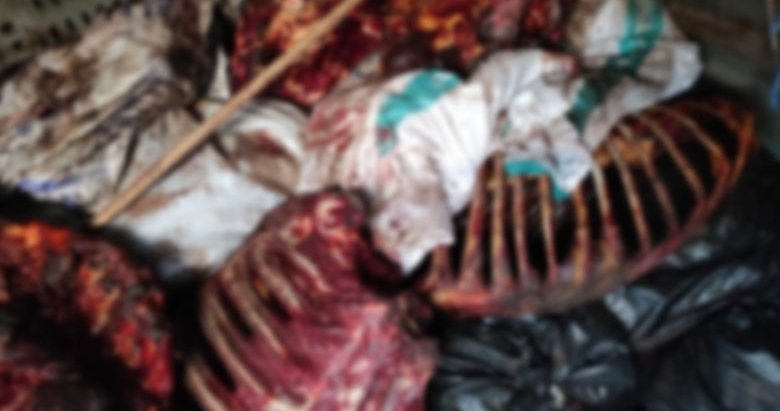 İzmir’de mide bulandıran görüntü! Çürümeye yüz tutmuş 3 bin 660 kilo at eti ele geçirildi
