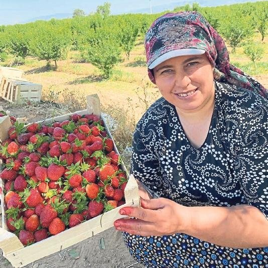Ege Bölgesi’nin gözbebeği Aydın