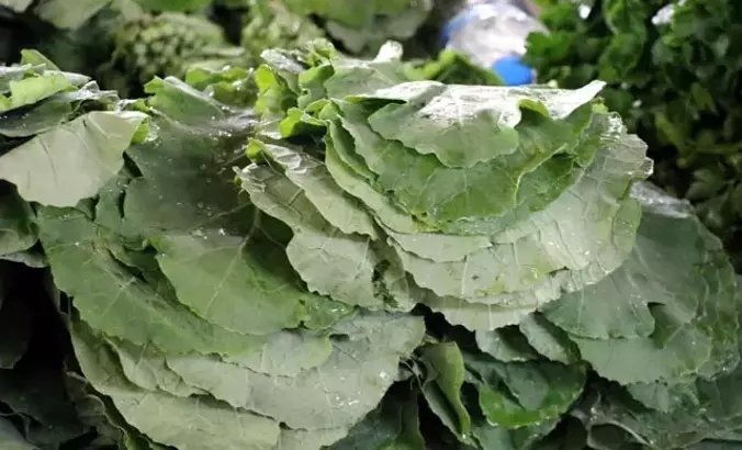 Detoks etkisi yapan bitkiler nedir? Detoks yaparken nelere dikkat edilmelidir?