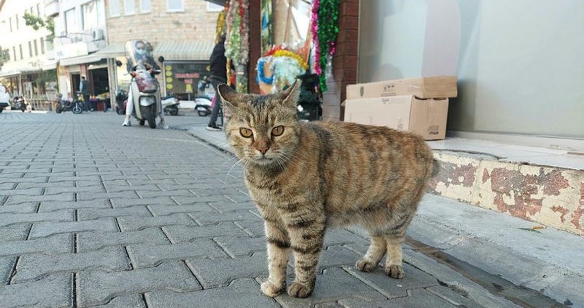 marmaris te herkes bunu konusuyor