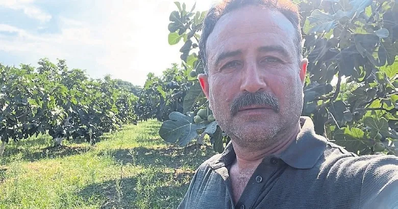 İncir üreticileri rekabete karşı önlem istiyor