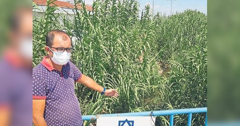 Bu işe el koy Başkan