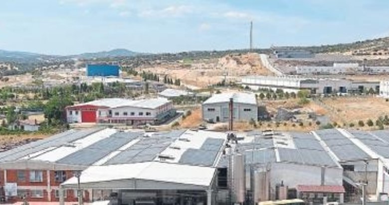 Peynir üreticisi yatırımını devlet desteğiyle büyüttü