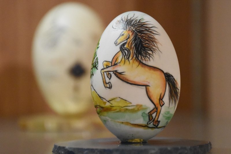 Afyonkarahisar’da Yumurta Müzesi görenleri şaşırttı