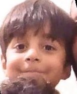 ‘Başıboş köpekleri artık toplayın’