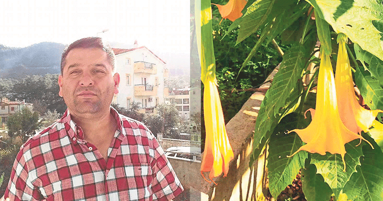 Kabak çiçeği sandıkları dolmadan zehirlendiler