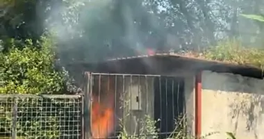 Muğla’da korkutan yangın!