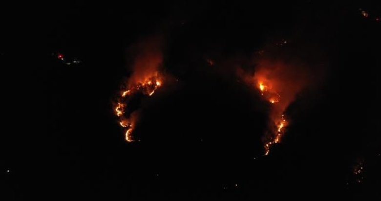 Balıkesir’deki orman yangını 7 saatlik çalışmayla söndürüldü