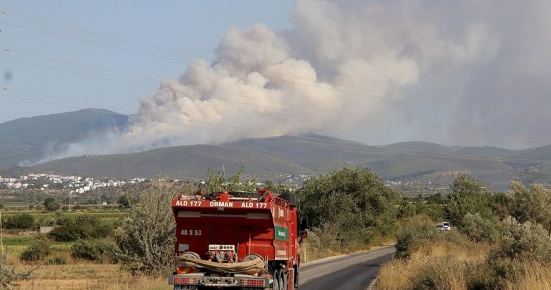 Aydın’da 2020 yılında 68 orman yangını meydana geldi