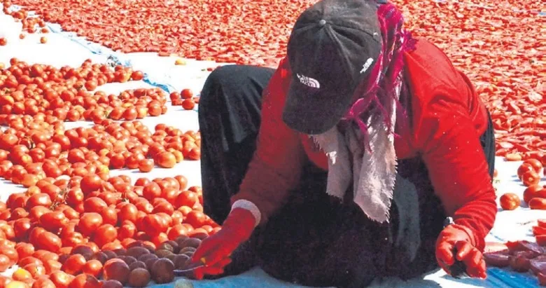Güneşin altında kırmızı şölen