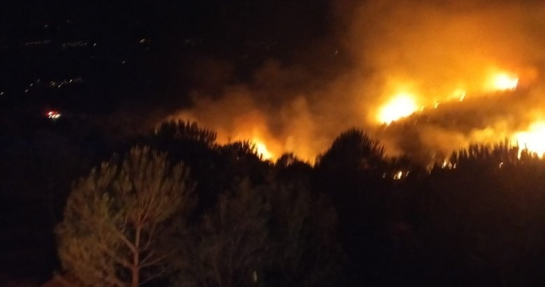 Aydın’da gece saatlerinde korkutan orman yangını!