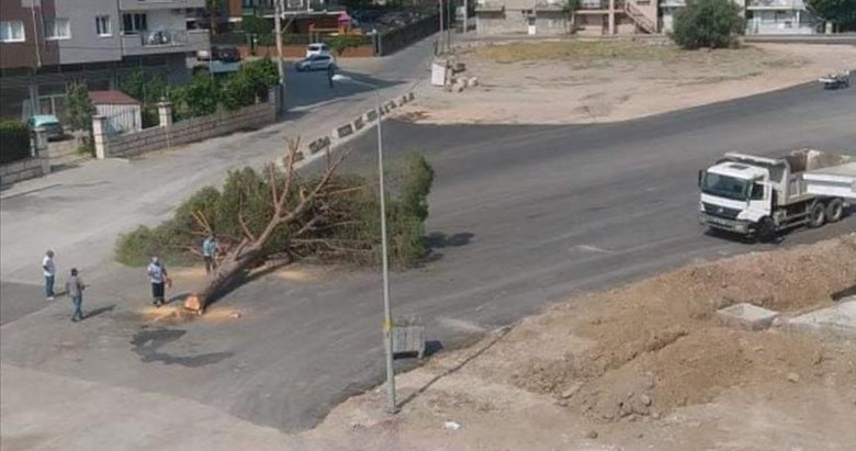 İzmir’de yol yapımı için ağaç kesilmesine tepki yağıyor