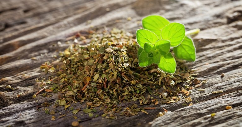 Mercanköşk anne sütünü artırıyor