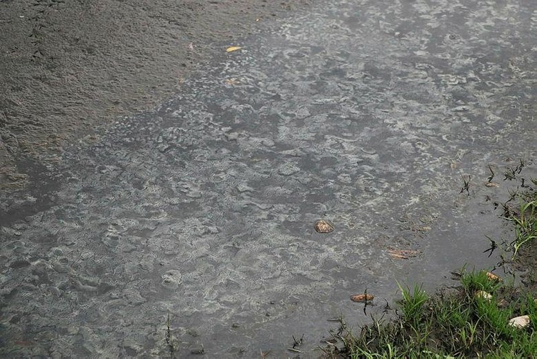 548 kilometrelik Büyük Menderes Nehri’nin sadece 7 kilometresi temiz akıyor