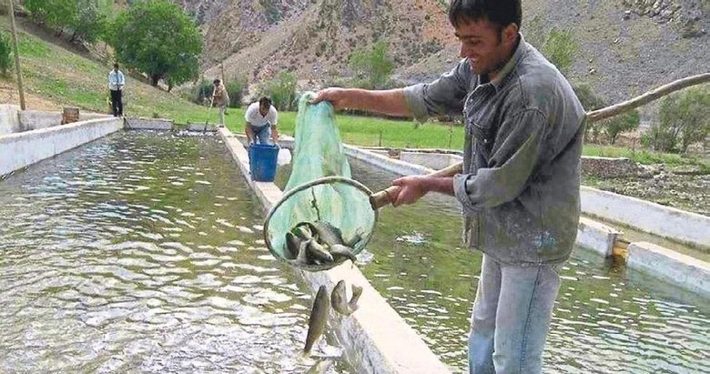 Su ürünleri desteklemesine başvurular 23 Aralık’ta son