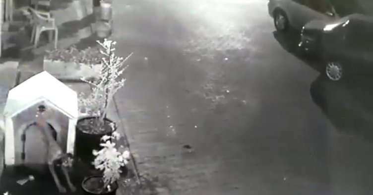 İzmir’de akılalmaz olay! Köpeği uyandırıp...