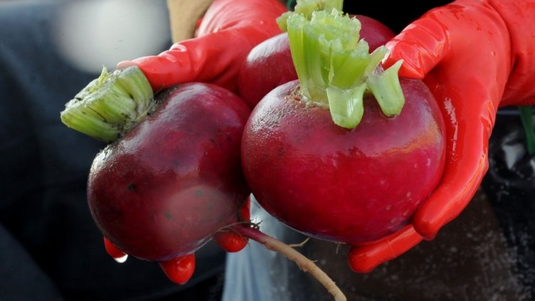 Sağlığınız için doğal bir mucize! Turpu nasıl tüketmeliyiz?