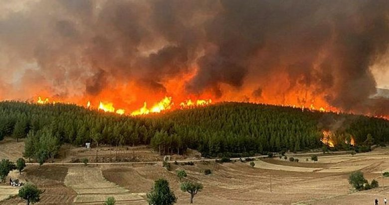 Aydın’daki orman yangını kontrol altına alındı
