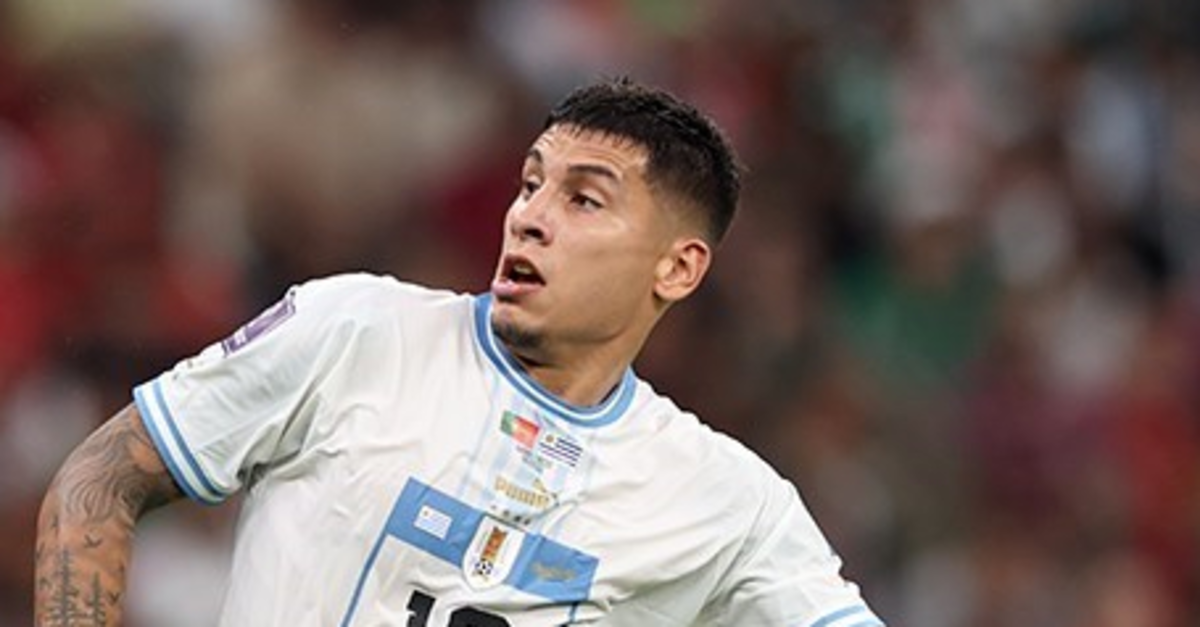 Aslan’ın Olivera inadı