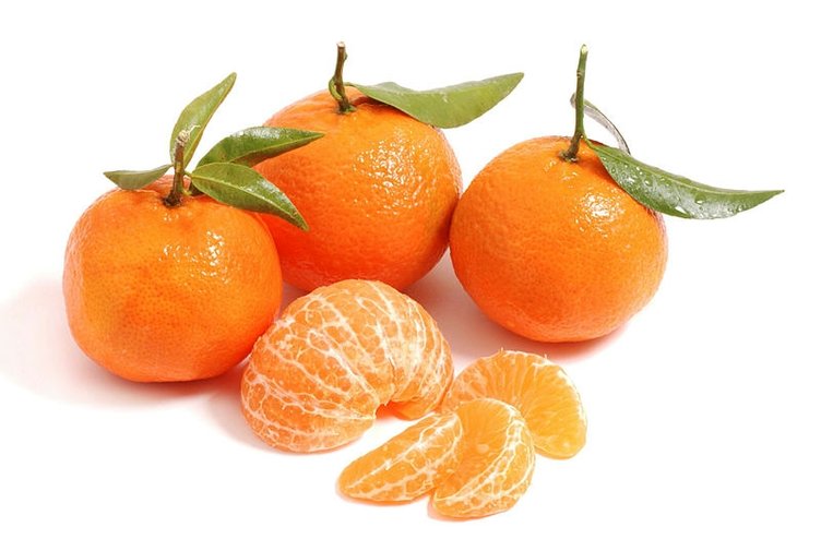 Vücudun en çok ihtiyaç duyduğu besinler nelerdir?