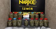 İzmir’de kilolarca bulundu