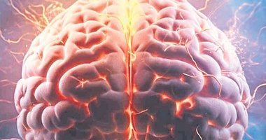 Beyin dili yapay zeka modelleri gibi işliyor