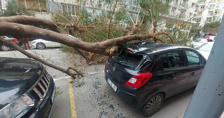 İzmir’de fırtına ağaçları devirdi! 7 Şubat akşamına kadar sürecek