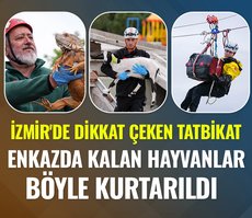 İzmir’de dikkat çeken tatbikat! Enkazda kalan hayvanlar böyle kurtarıldı