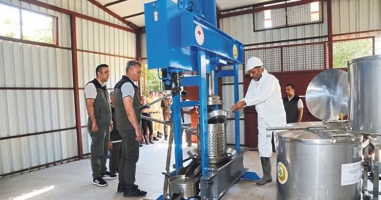 Muğla’da sığla yağı üretimi başladı